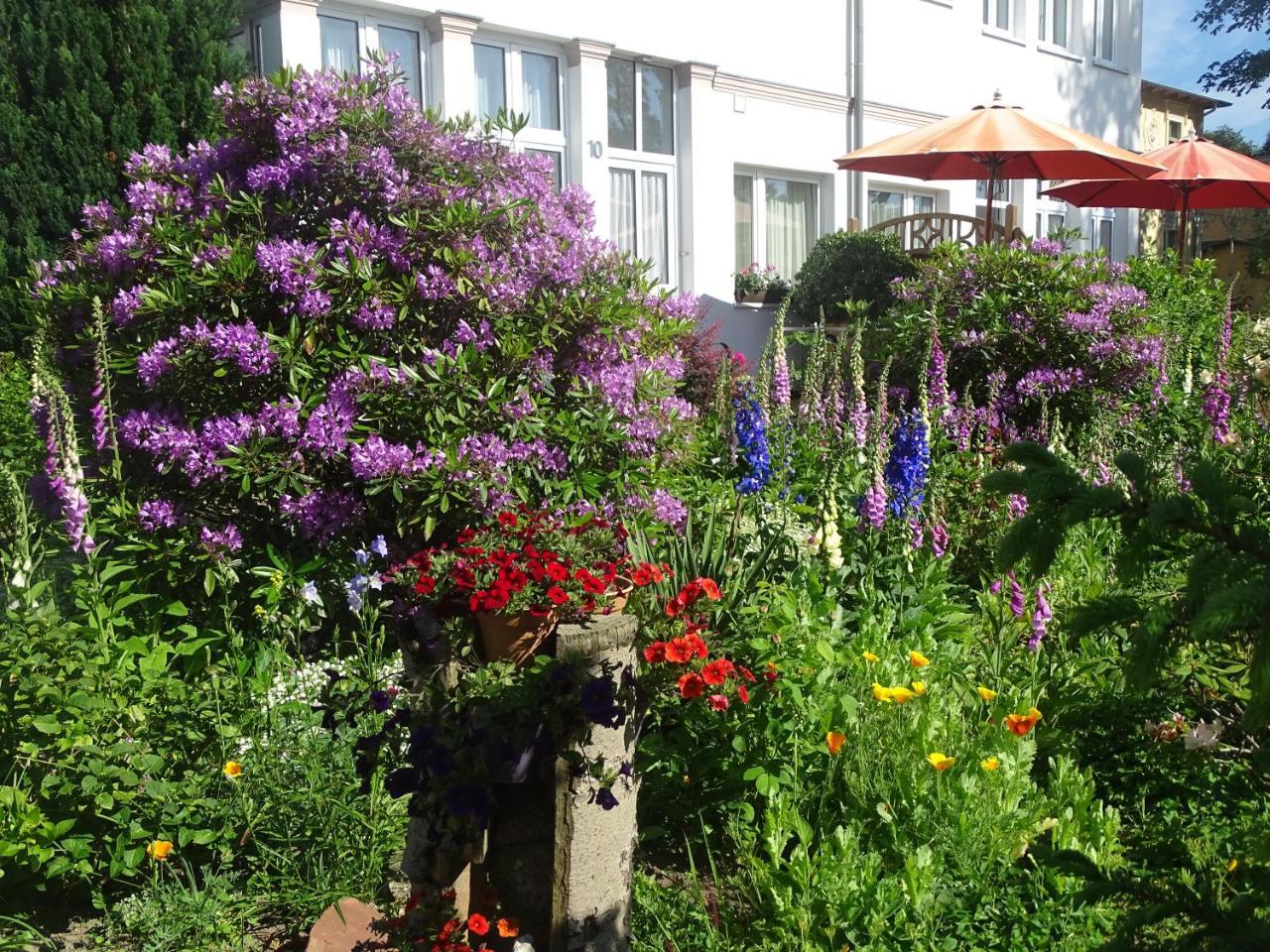 Ferienwohnungen Stranddistel - Apartments Von 30 Bis 75 Qm Zinnowitz Exterior foto